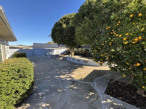 Tiny photo for 6369 Clara Lee Ave, San Diego, CA 92120 (MLS # 250044809)