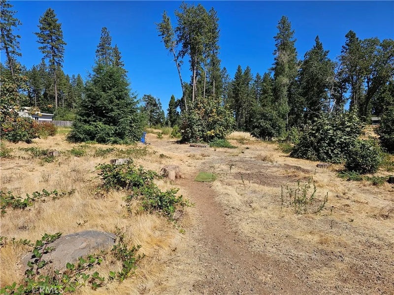 1533 Forest Service Rd