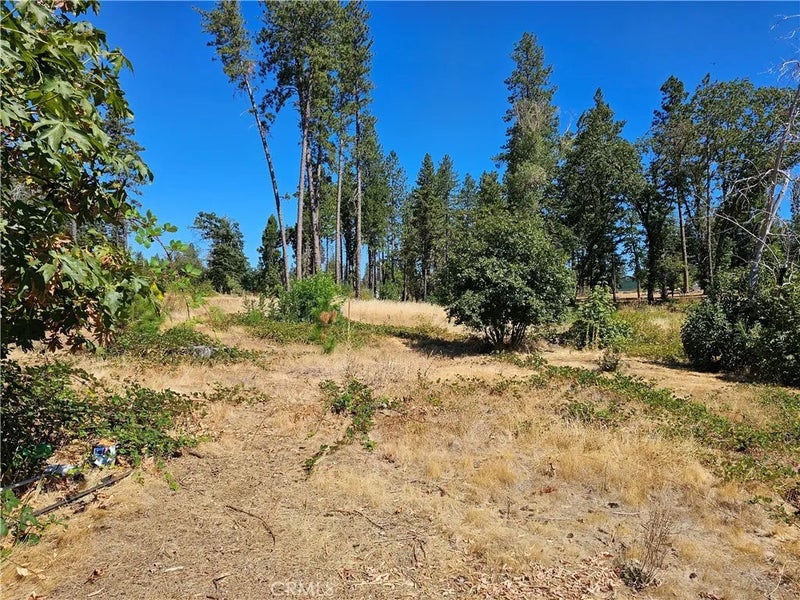 1533 Forest Service Rd