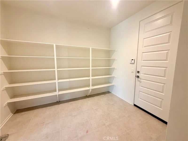 2236 Century Plant Street