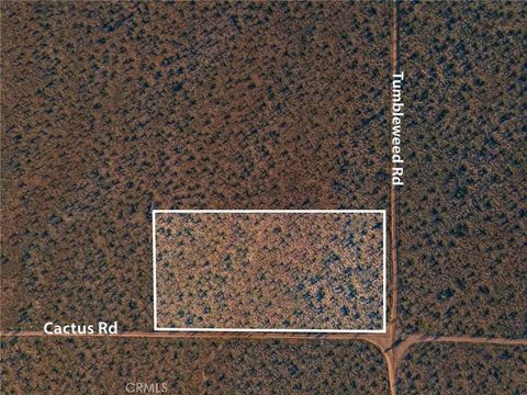 123 Tumbleweed Adelanto CA 92301