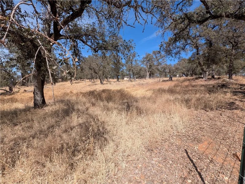 0 Springtime Trail