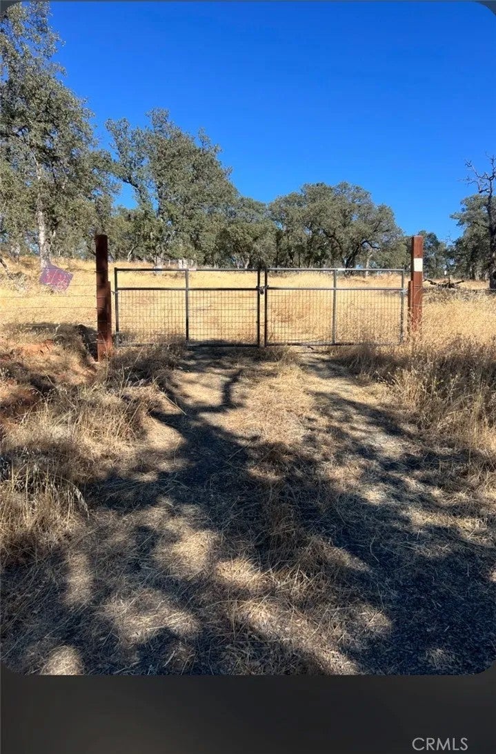 0 Springtime Trail