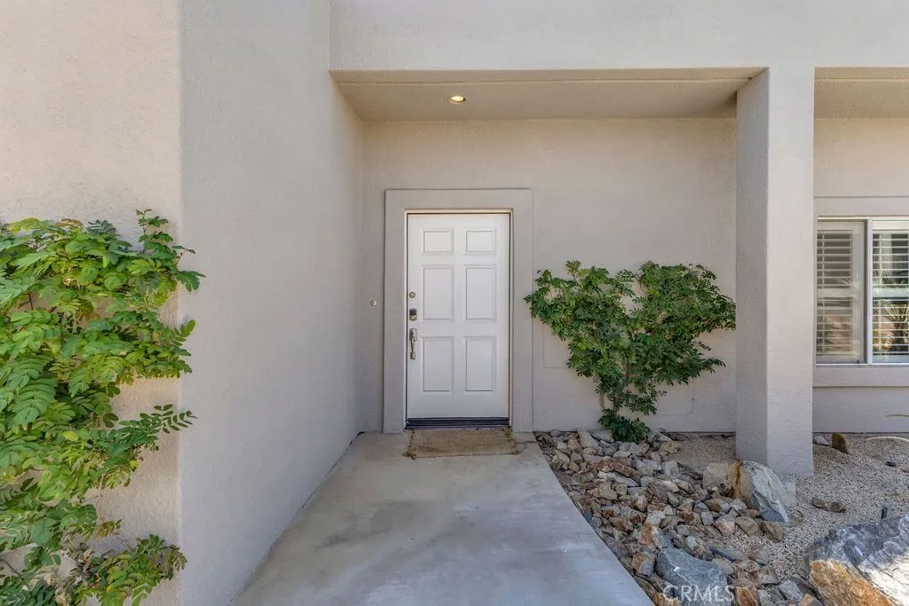 28 Oak Tree