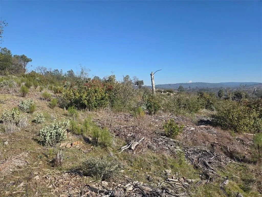 Photo of 0 Nikki Jo, Oroville, CA 95966 (MLS # OR26019539)
