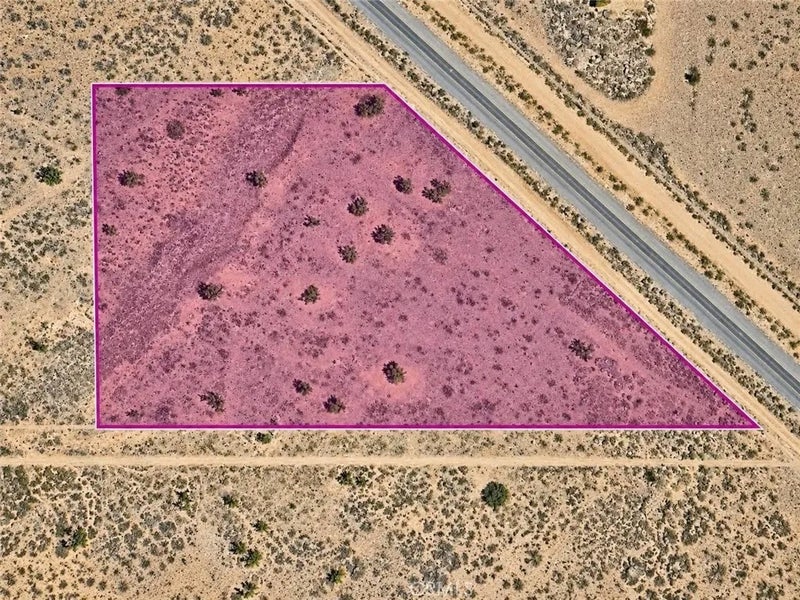2 Acacia