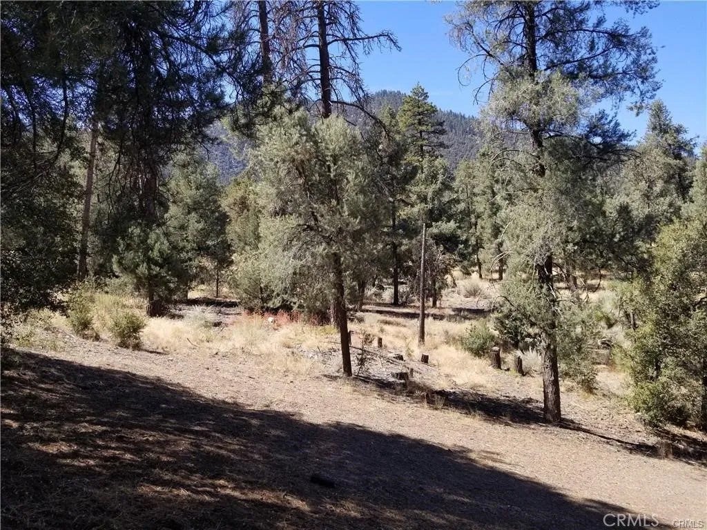 Photo of 1912 Ironwood Dr, Pine Mountain Club, CA 93222 (MLS # SR26212469)