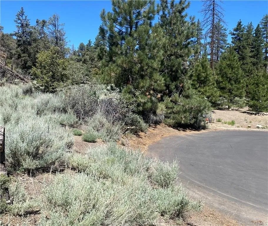 Photo of 1912 Ironwood Dr, Pine Mountain Club, CA 93222 (MLS # SR26212469)