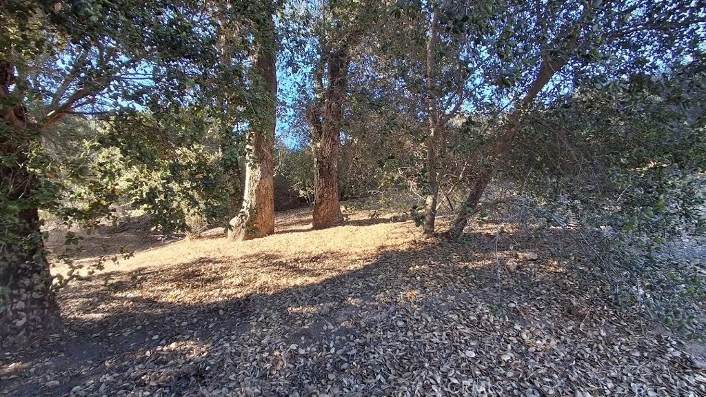 47515 Woodcliff