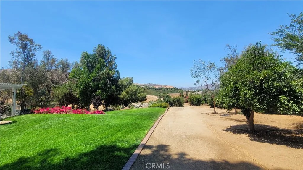 10851 Orchard View Lane
