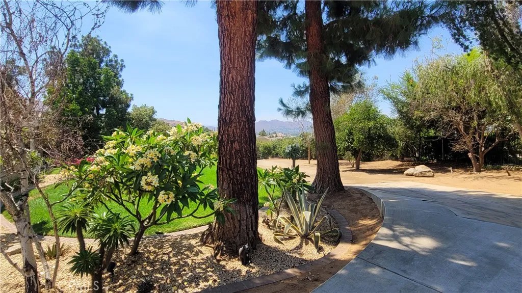 10851 Orchard View Lane