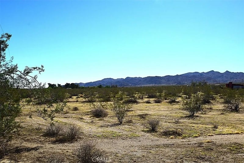 0 29 Palms