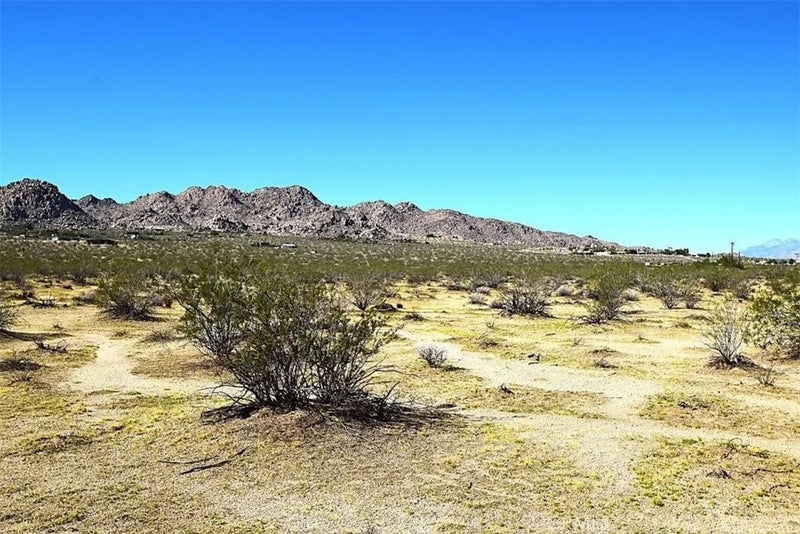 0 29 Palms