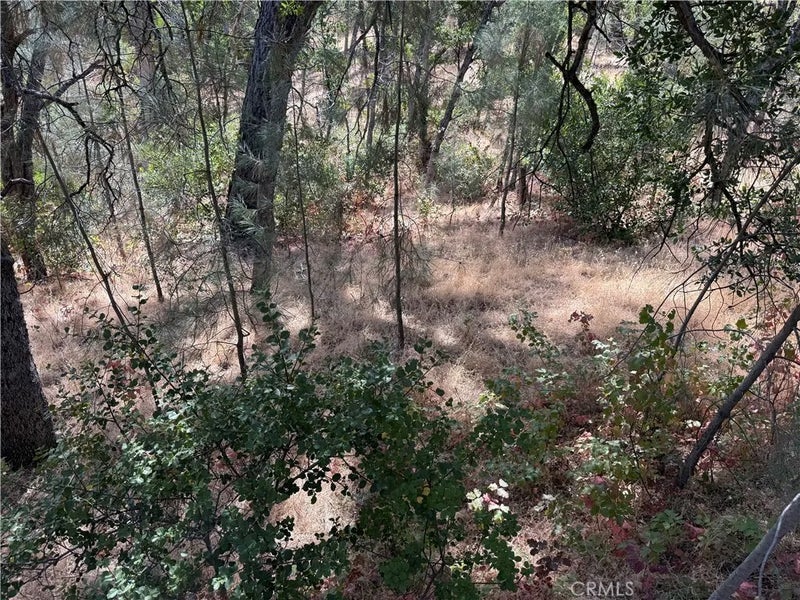 16305 Hillcrest