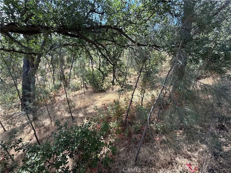 16305 Hillcrest