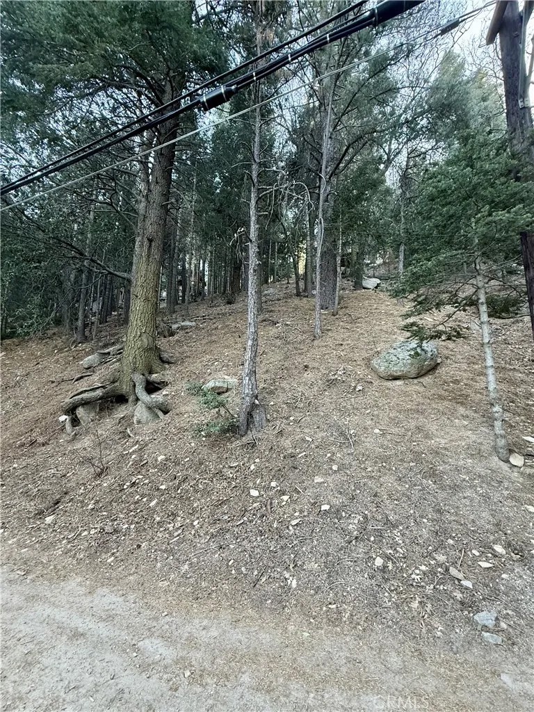 0 Scenic View