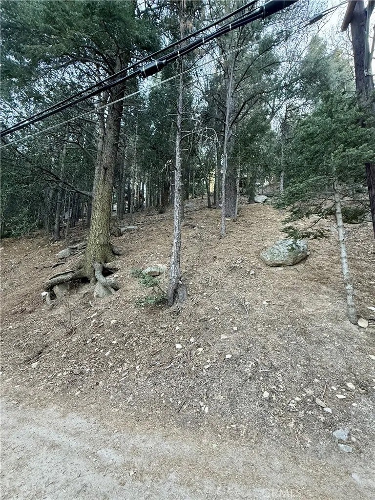 0 Scenic View