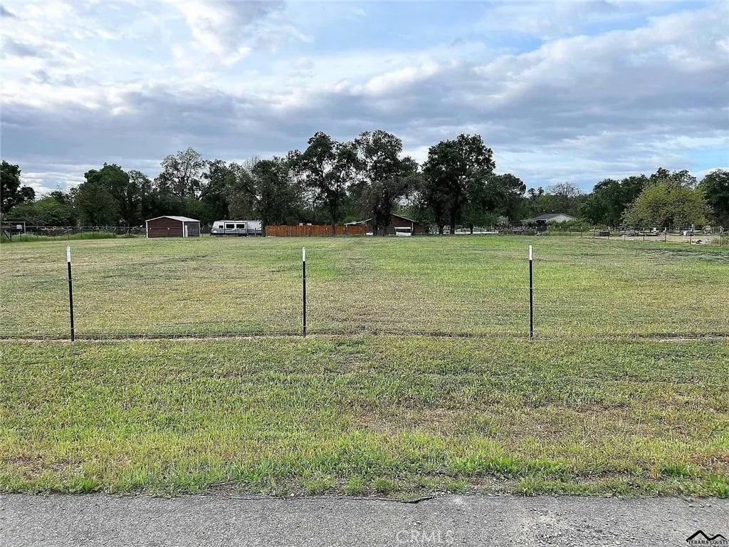 1 Marek Estates
