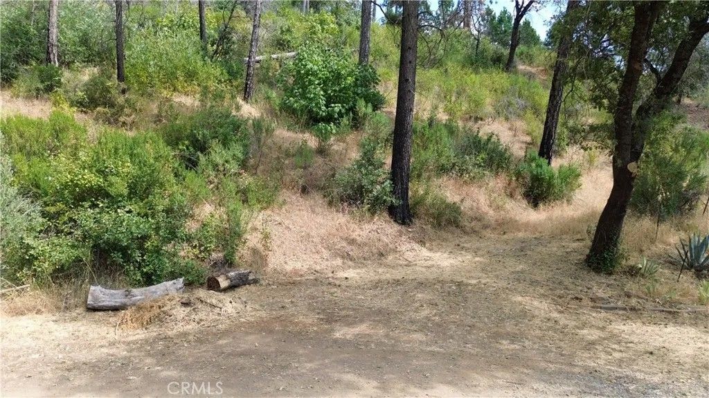 Photo of 0 Feather Ridge, Berry Creek, CA 95916 (MLS # OR26117142)