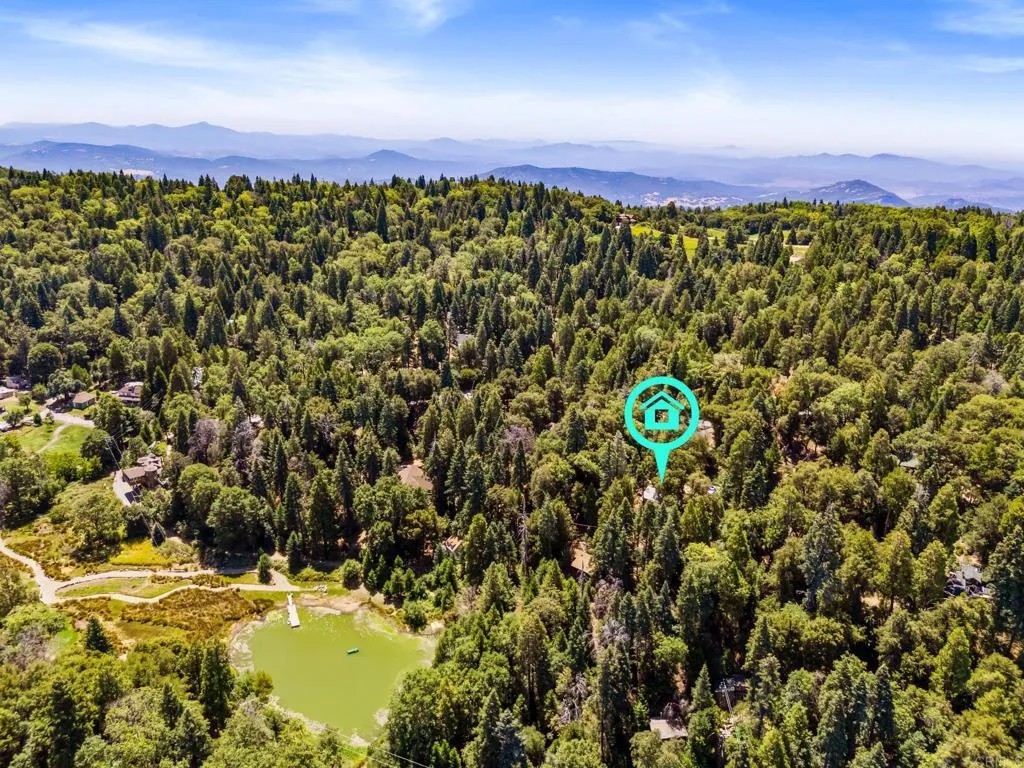 33556 Fern Trail