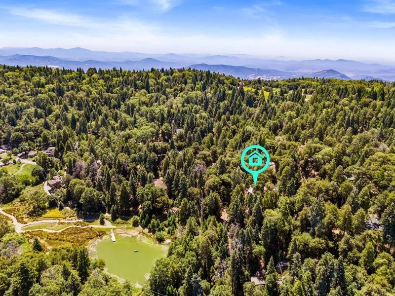 33556 Fern Trail