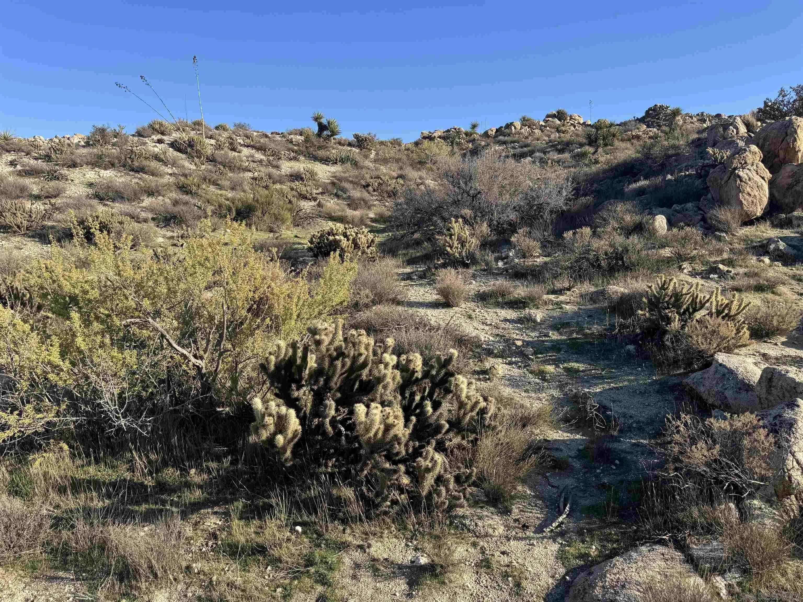 0000 In-Ko-Pah Park Rd NA