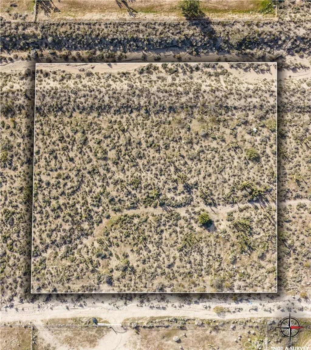 Photo of 11073 Primavera Rd, Pinon Hills, CA 92372 (MLS # HD26033954)