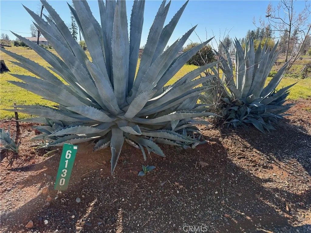 Photo of 6130 Greenwood Dr, Paradise, CA 95969 (MLS # SN26009242)