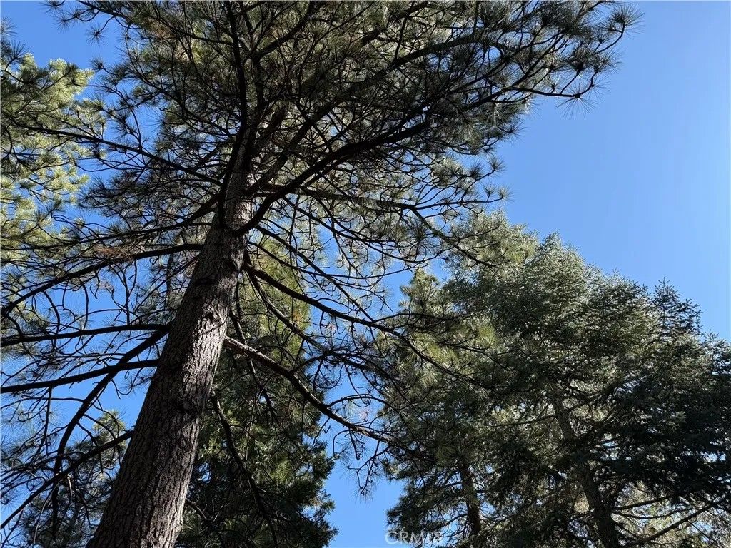 Photo of 27334 Pinewood Drive, Lake Arrowhead, CA 92352 (MLS # IG26072280)