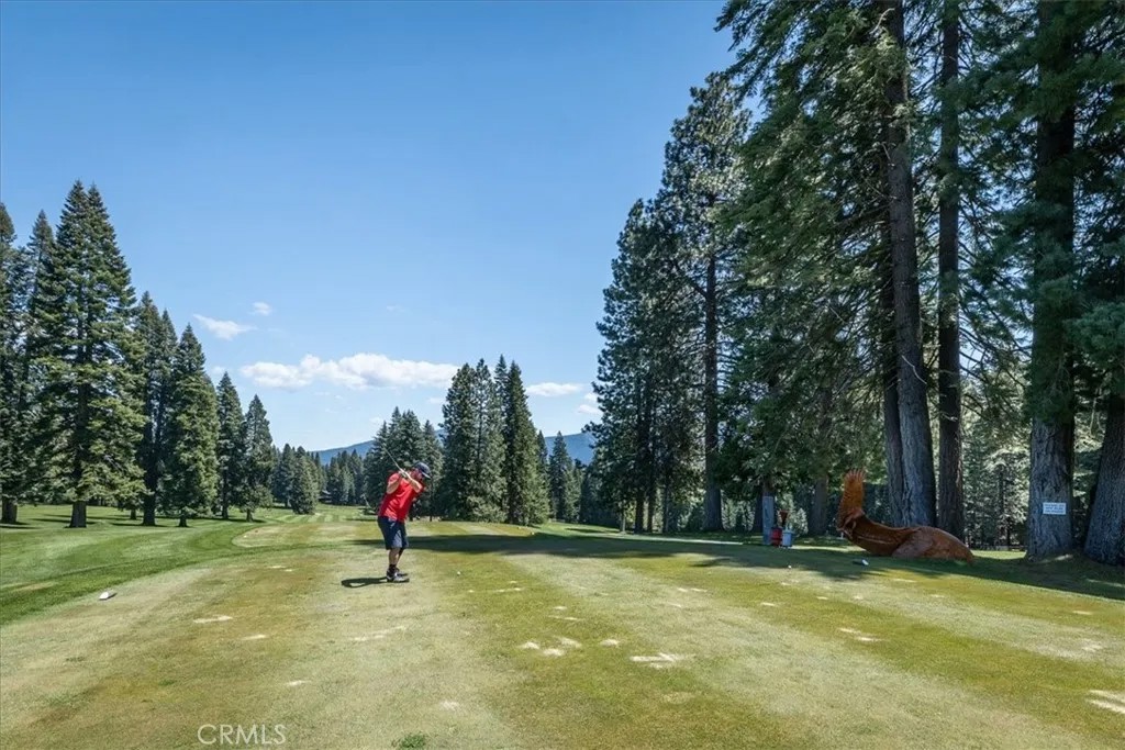 915 Golf Club