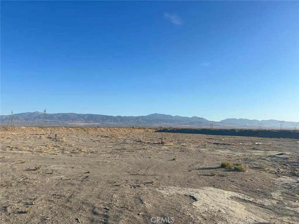 0 Oasis