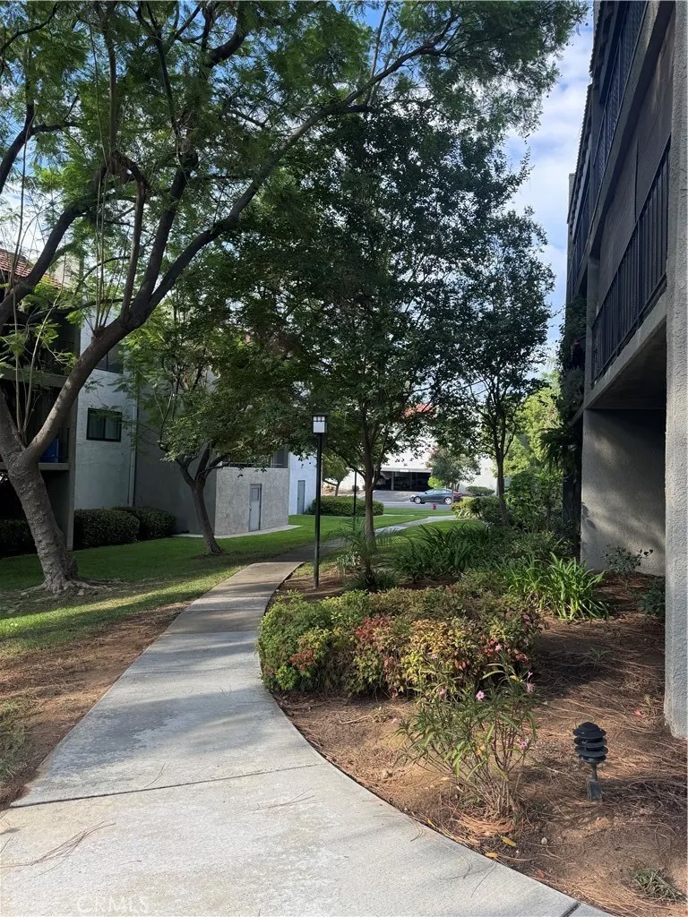242 E Fern 205