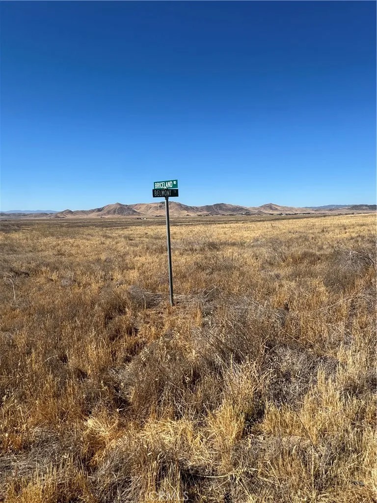 0 Briceland