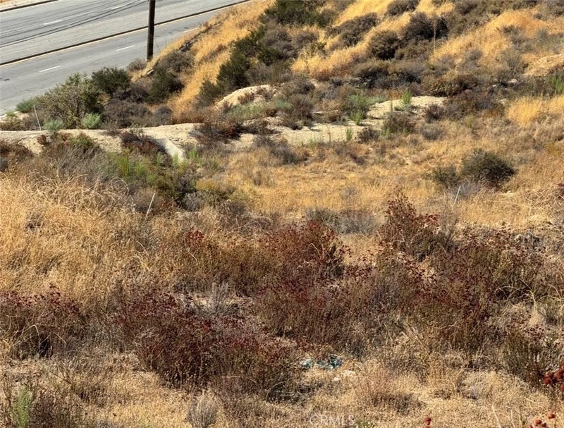 0 Golden Valley & Sierra Hwy.