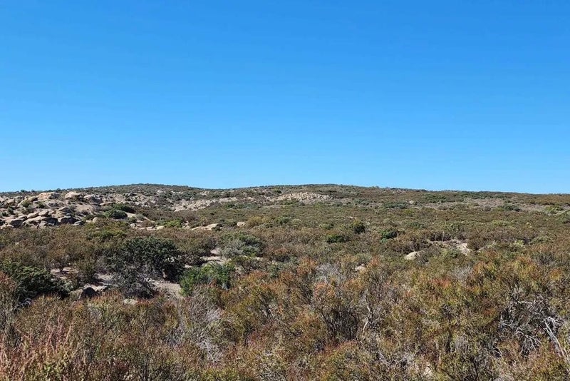 1 Rocky Knoll