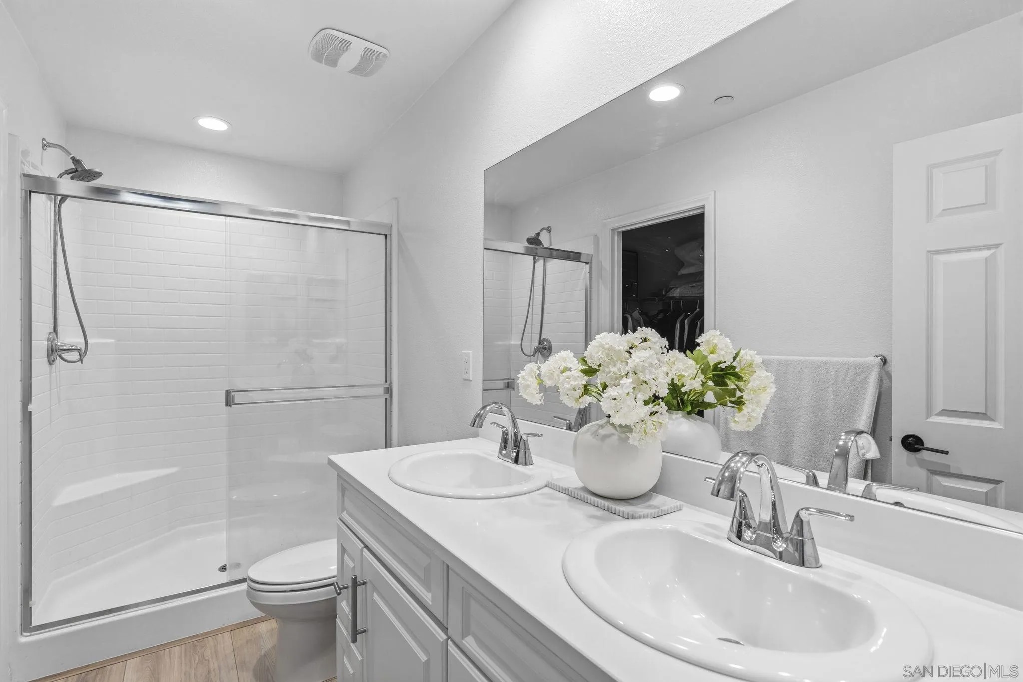 2815 Elderflower