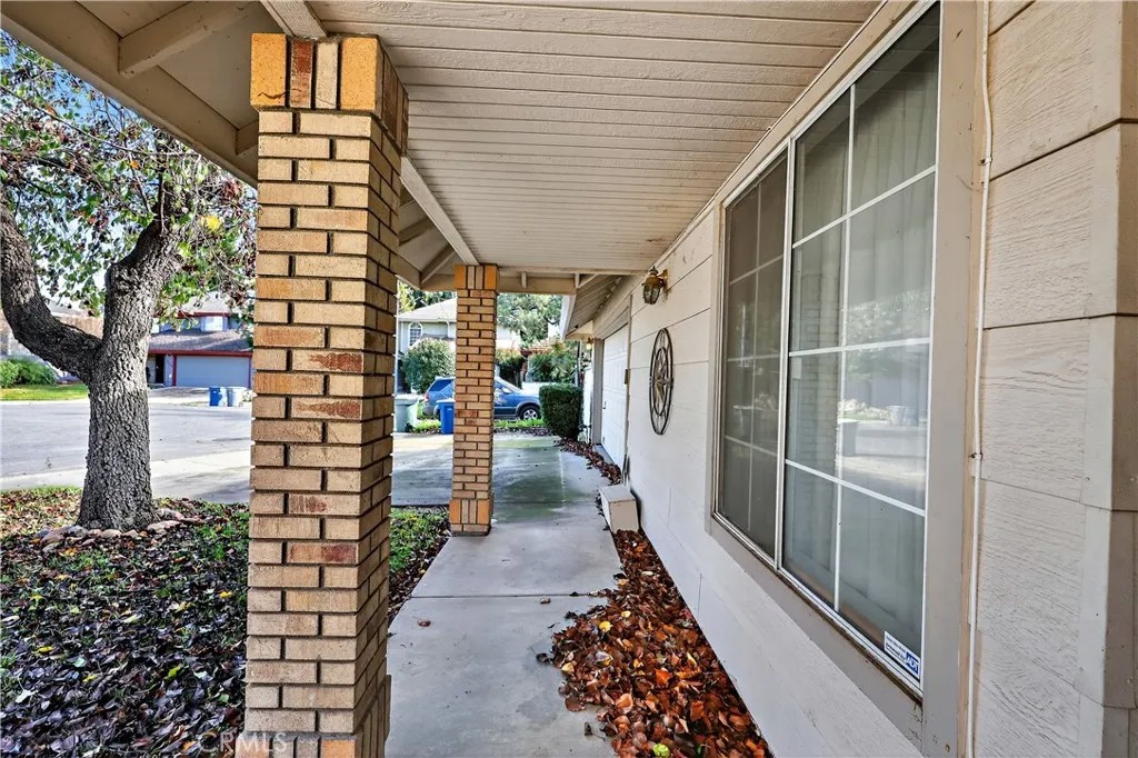 3045 Silver Elm