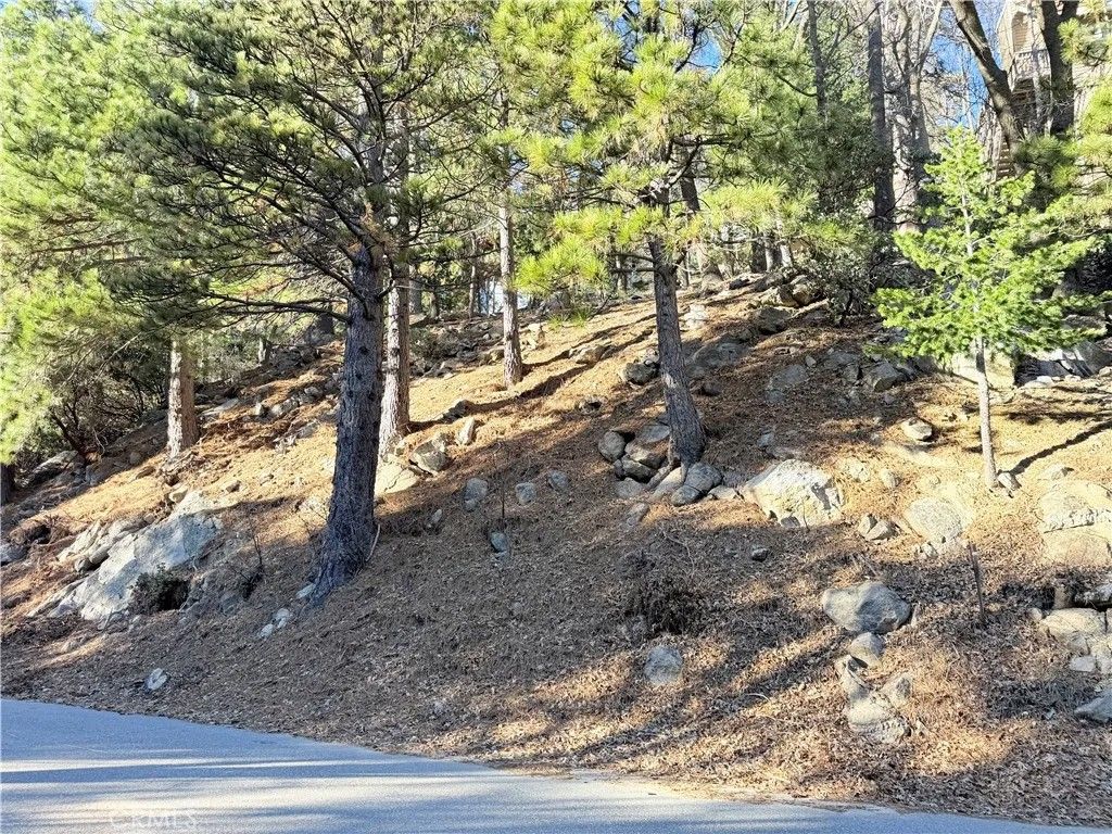 Photo of 0 Thunderbird, Lake Arrowhead, CA 92352 (MLS # IG26006437)