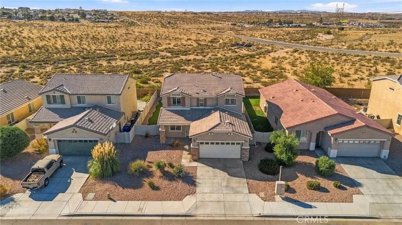 16788 Desert Lily