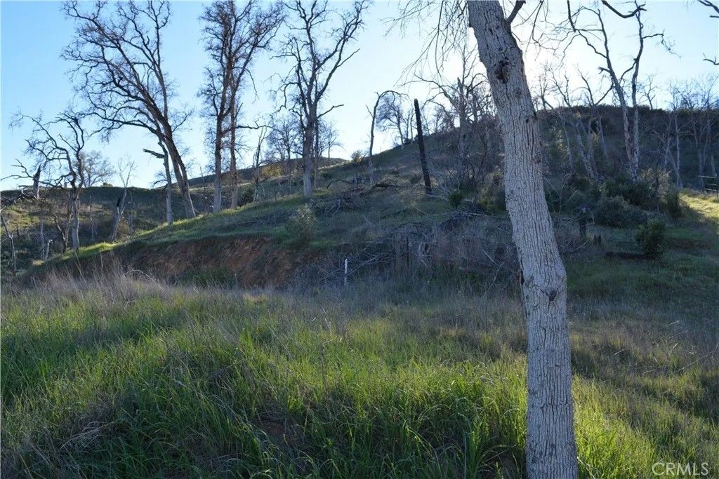 Photo of 3515 Spring Valley Rd, Clearlake Oaks, CA 95423 (MLS # LC26056207)