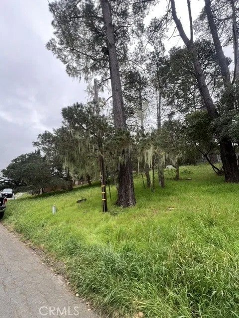 Photo of 0 Mills, Cambria, CA 93428 (MLS # NS26219094)