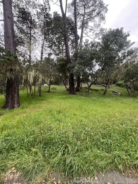Photo of 0 Mills, Cambria, CA 93428 (MLS # NS26219094)