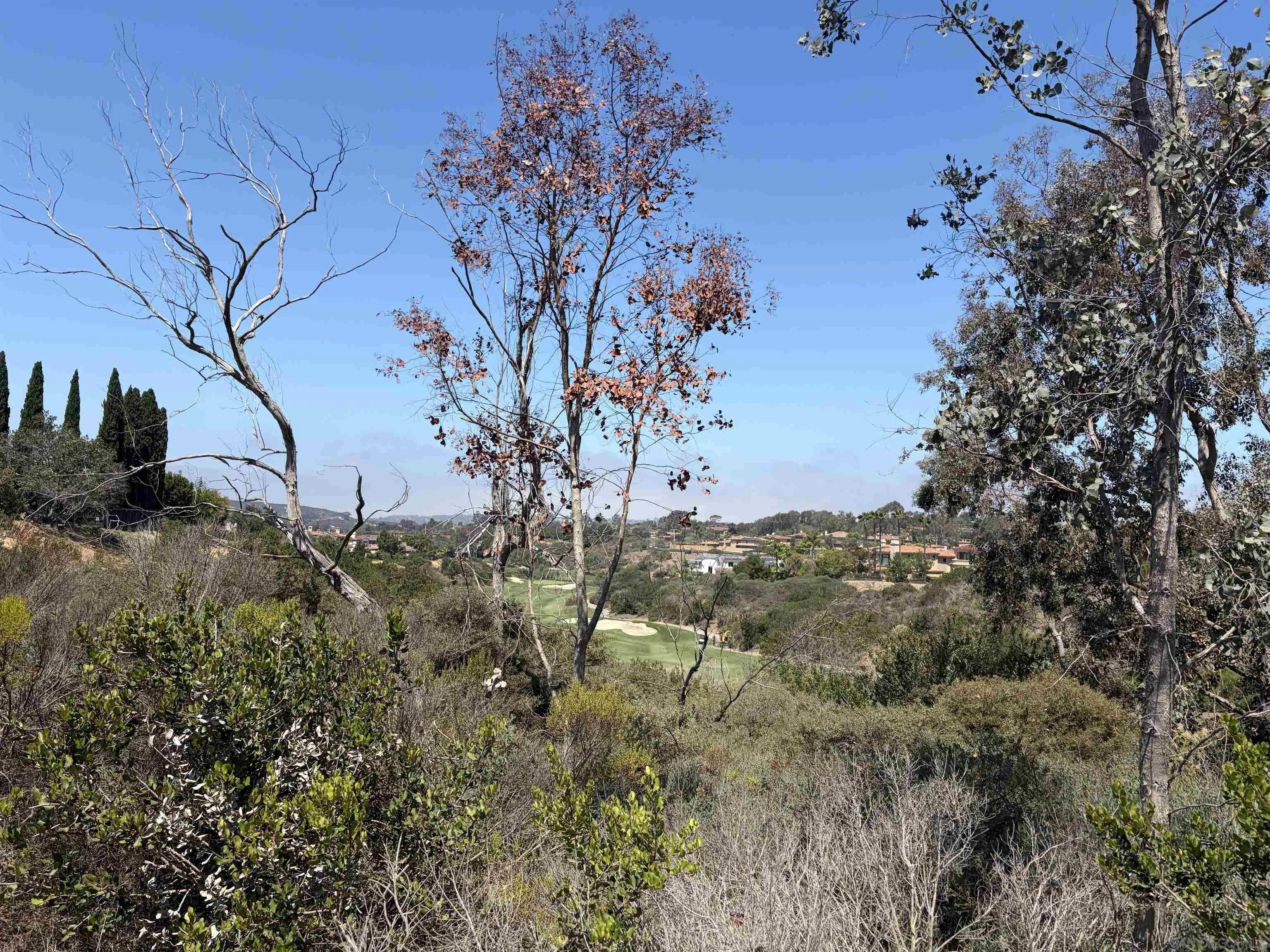 5591 W Meadows Del Mar 121