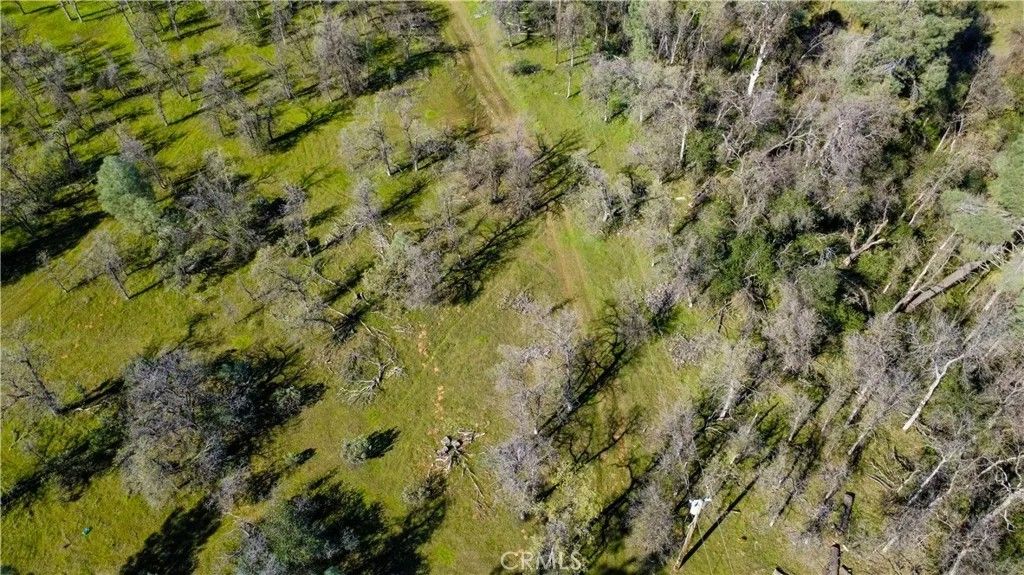 Photo of 17229 Treat Avenue, Anderson, CA 96007 (MLS # SN26044839)