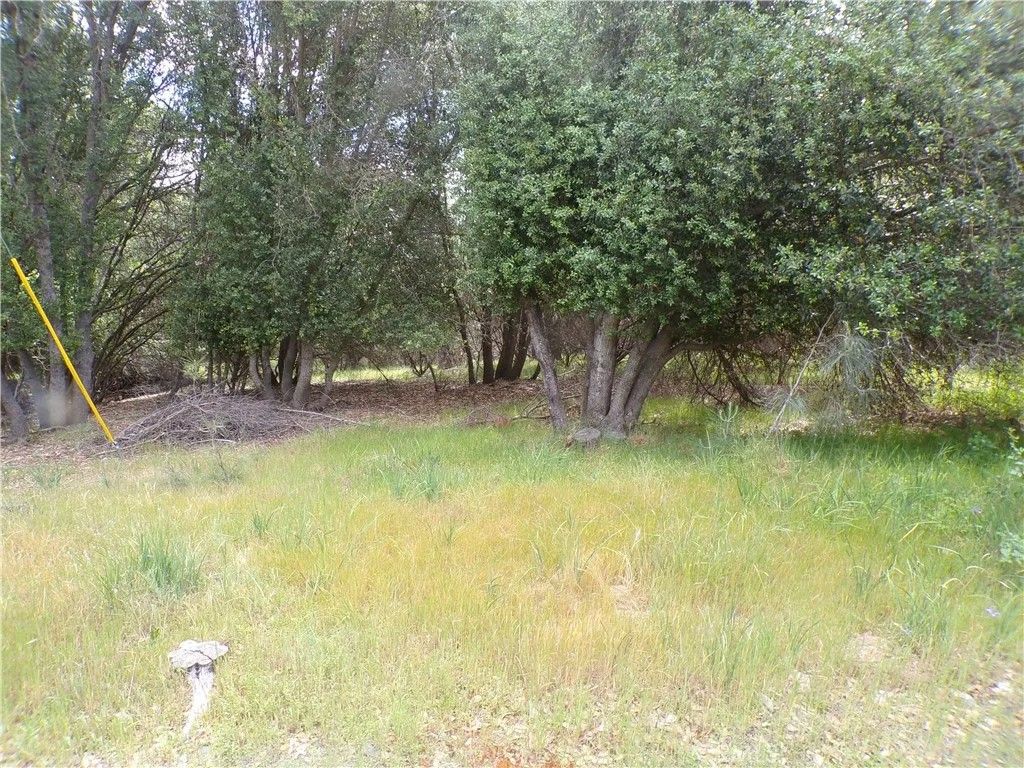 Photo of 17472 Cache Creek, Clearlake Oaks, CA 95423 (MLS # LC26078158)