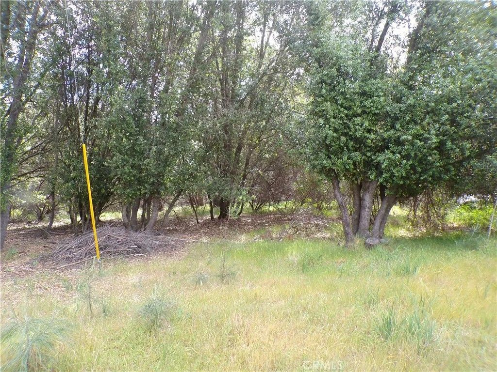 Photo of 17472 Cache Creek, Clearlake Oaks, CA 95423 (MLS # LC26078158)