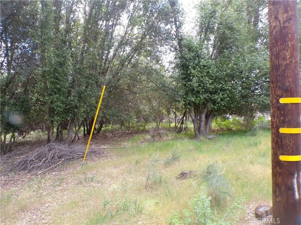 Photo of 17472 Cache Creek, Clearlake Oaks, CA 95423 (MLS # LC26078158)