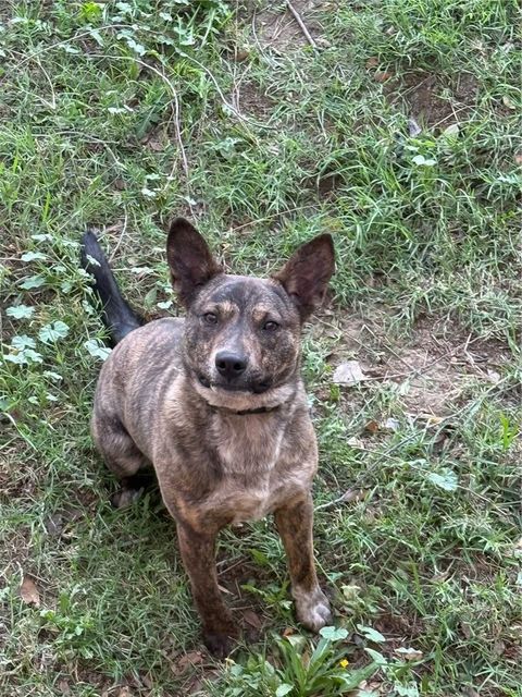 Tiny photo for 9236 Mango Ave, Fontana, CA 92335 (MLS # HD25282114)