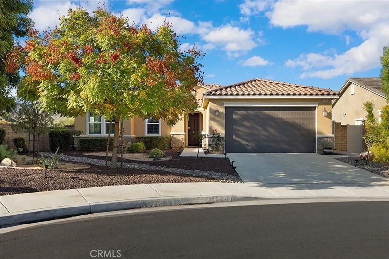 25155 Showdown Court