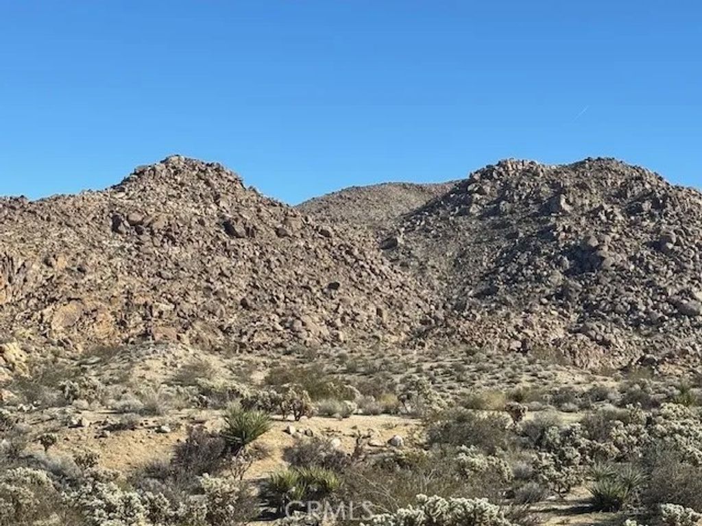 Photo of 7085 Alturas, Joshua Tree, CA 92252 (MLS # JT25266453)